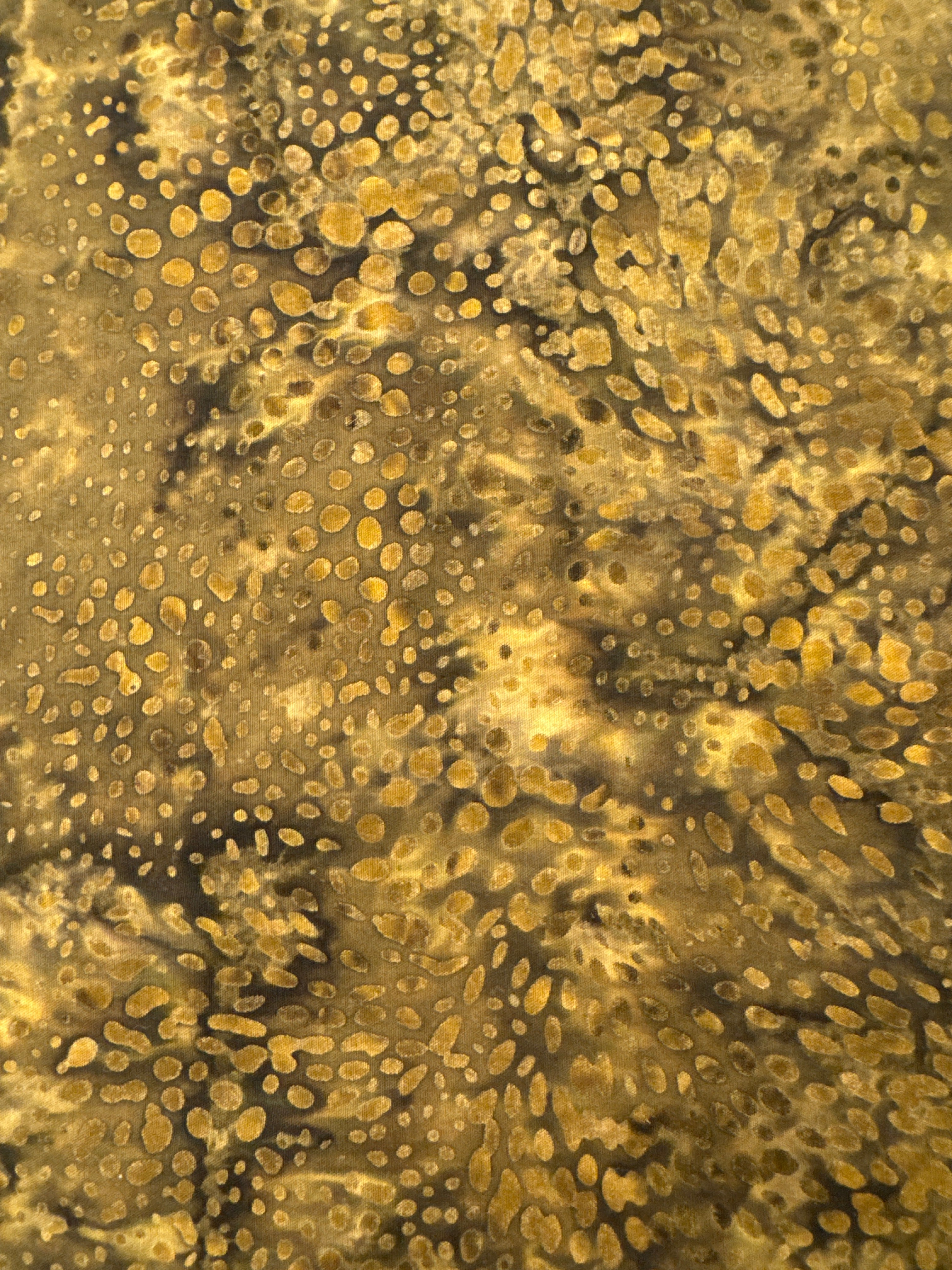 Pebbles Coffee brown blender quilting fabric by In The Beginning Fabrics