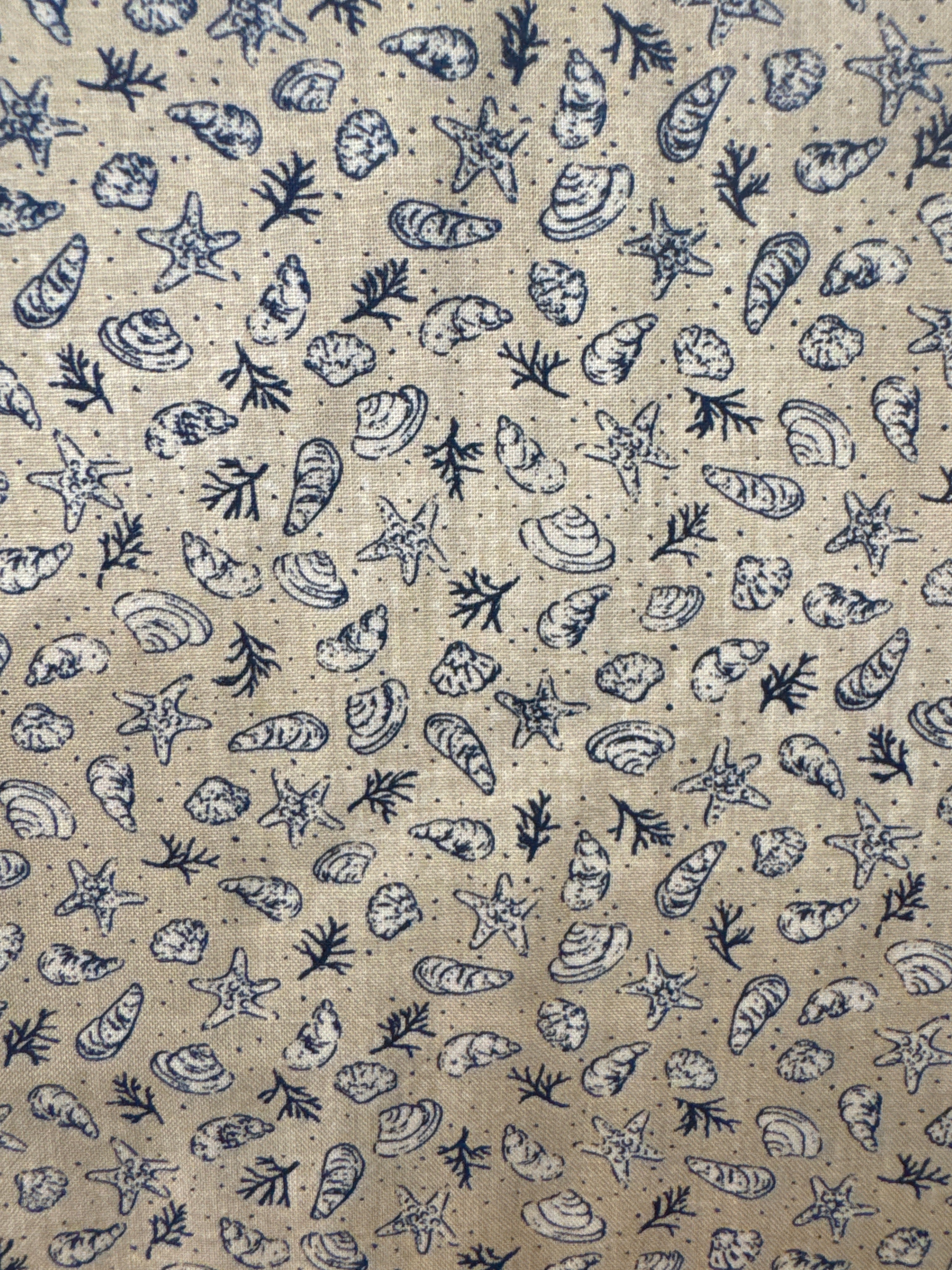 To the Sea Shore Treasures Tan novelty quilting fabric by Moda
