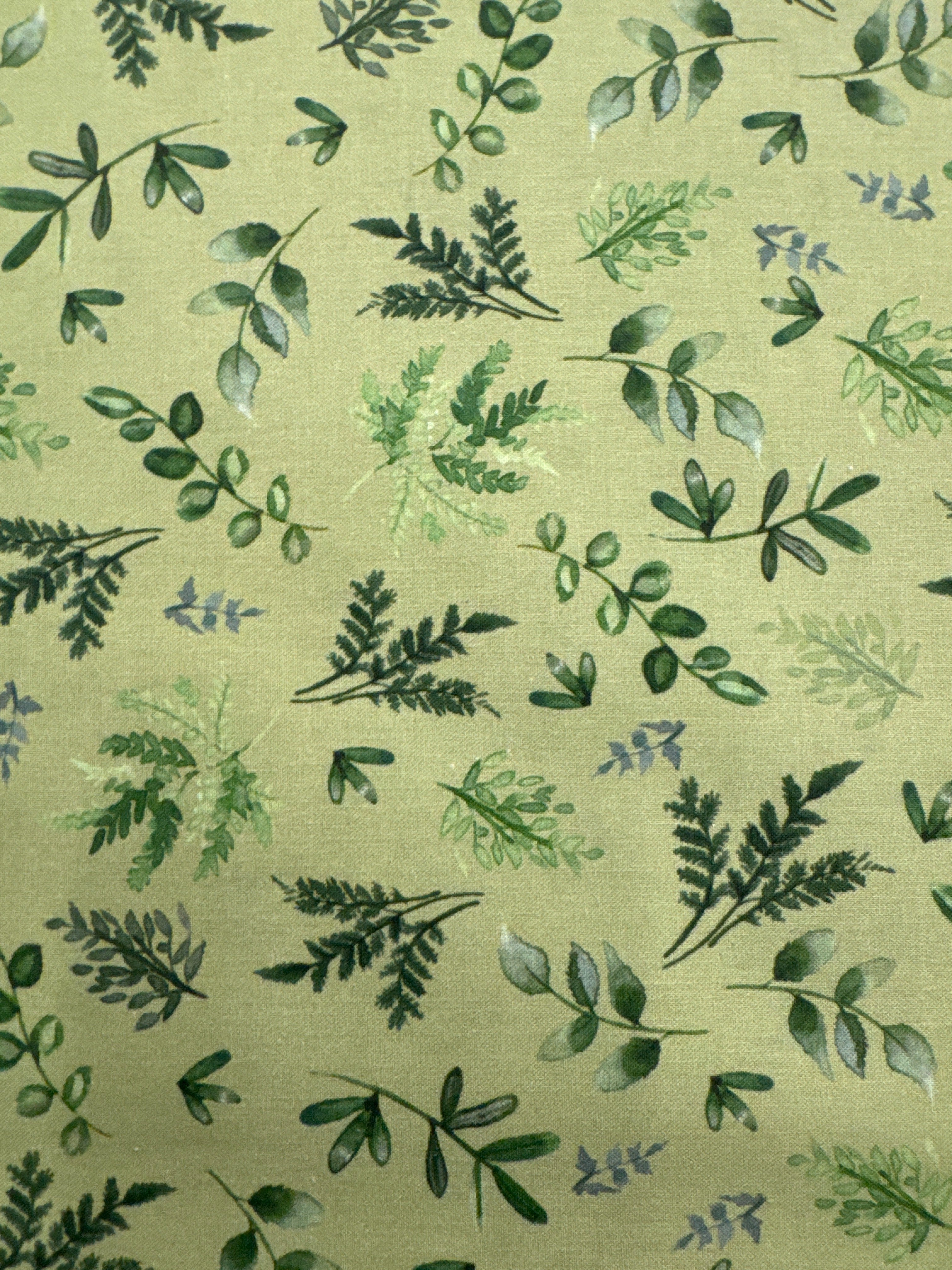 Wild Wonder Green blender quilting fabric by Clothworks