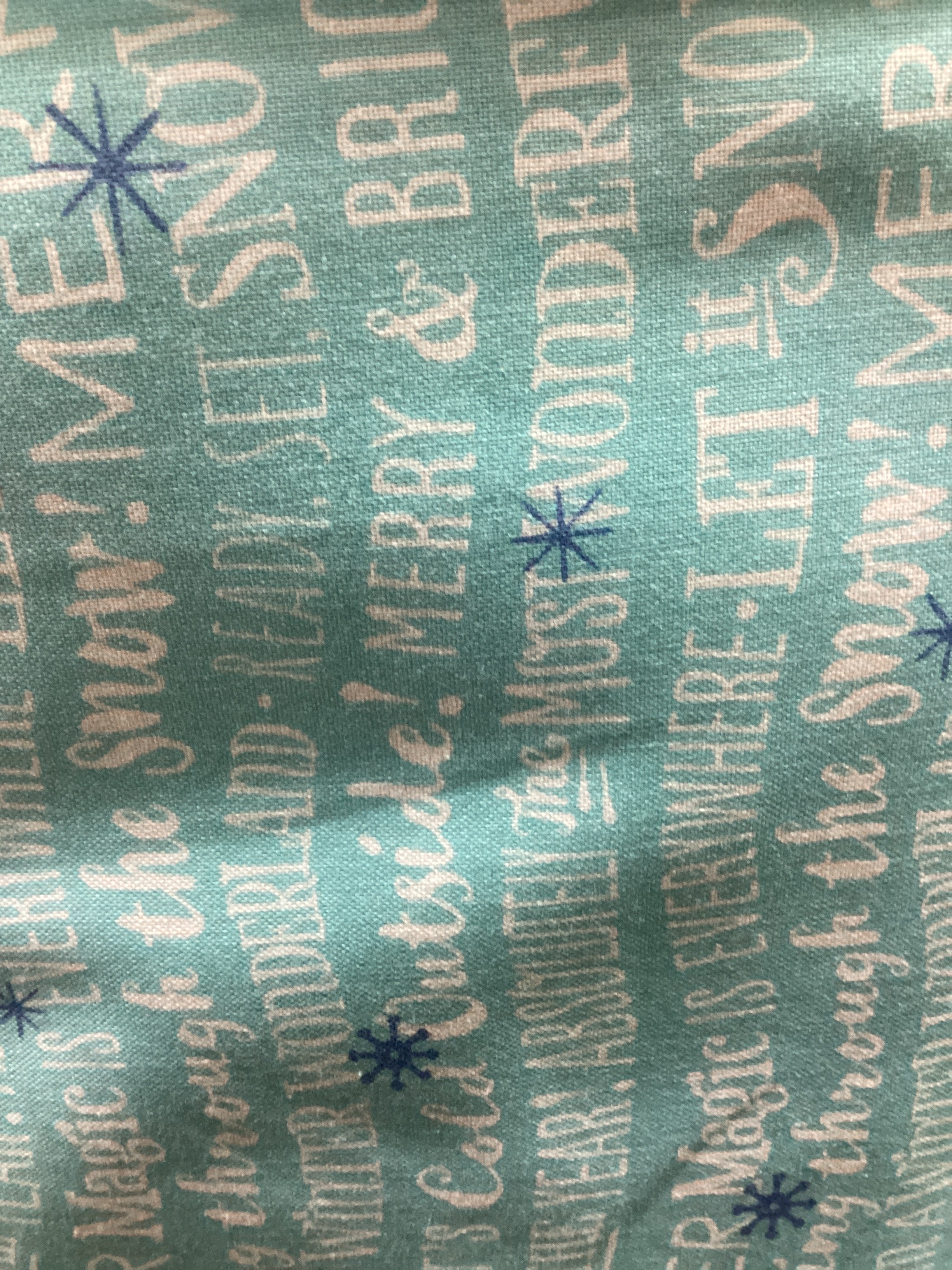 P&B Textiles Wheeling Winter Words Blue quilting fabric