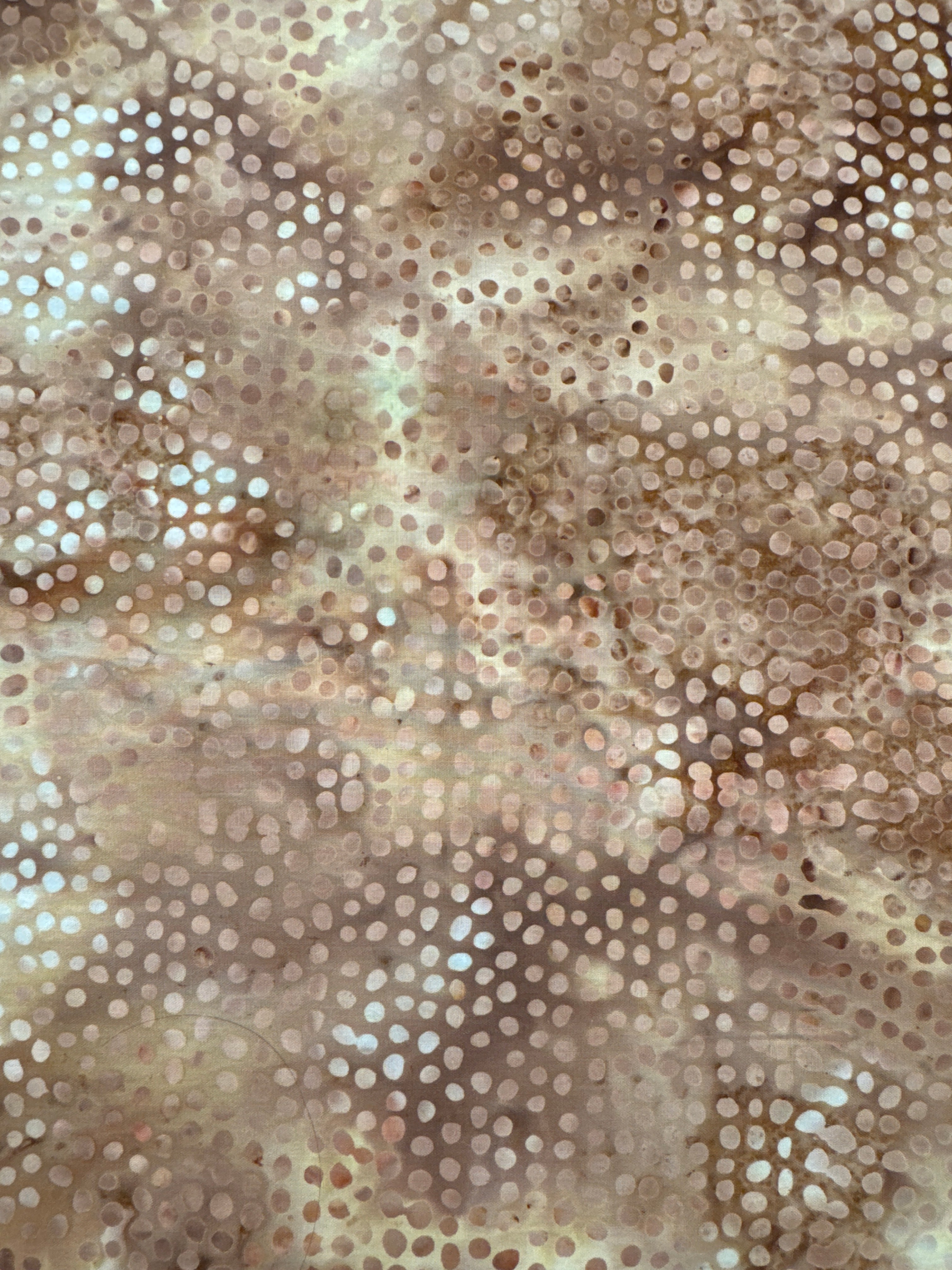 Hoffman Dots on Burnt Orange quilting fabric