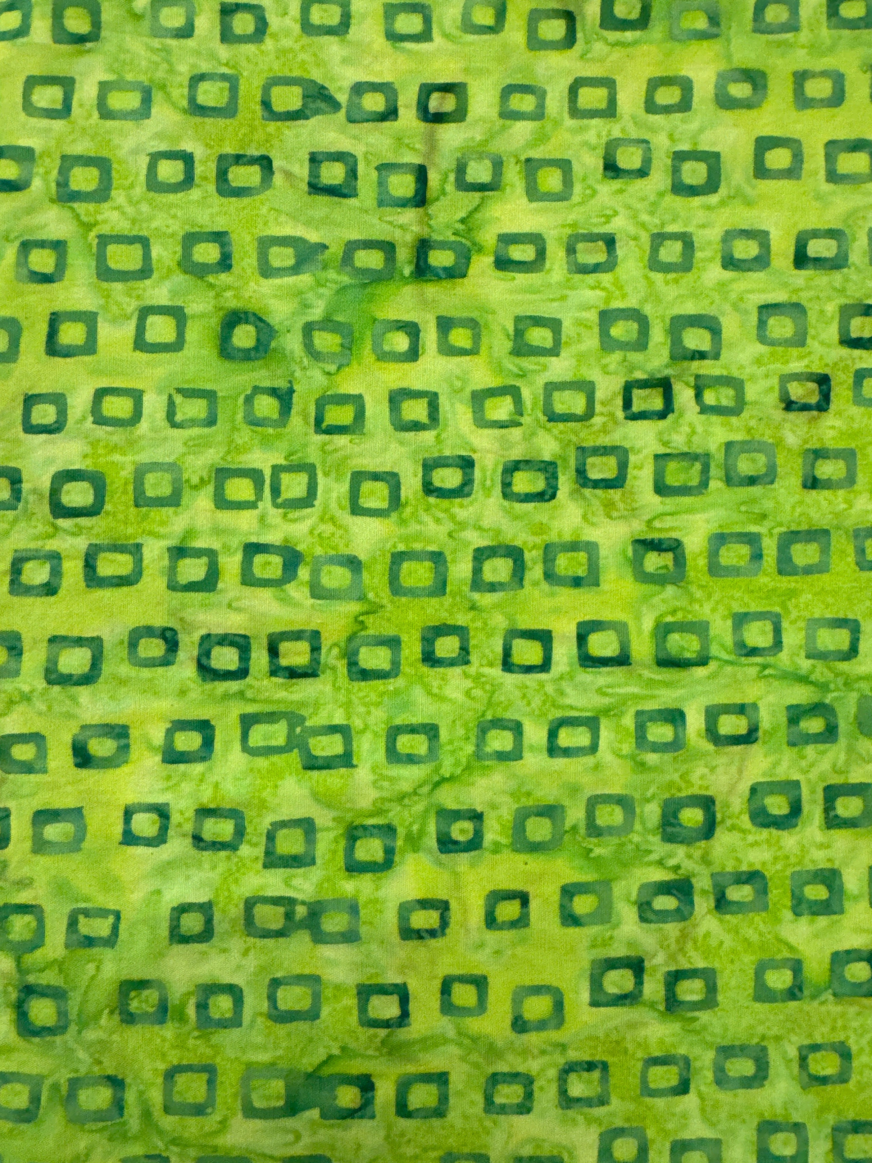 Riley Blake Expressions Halloween Mantis quilting fabric
