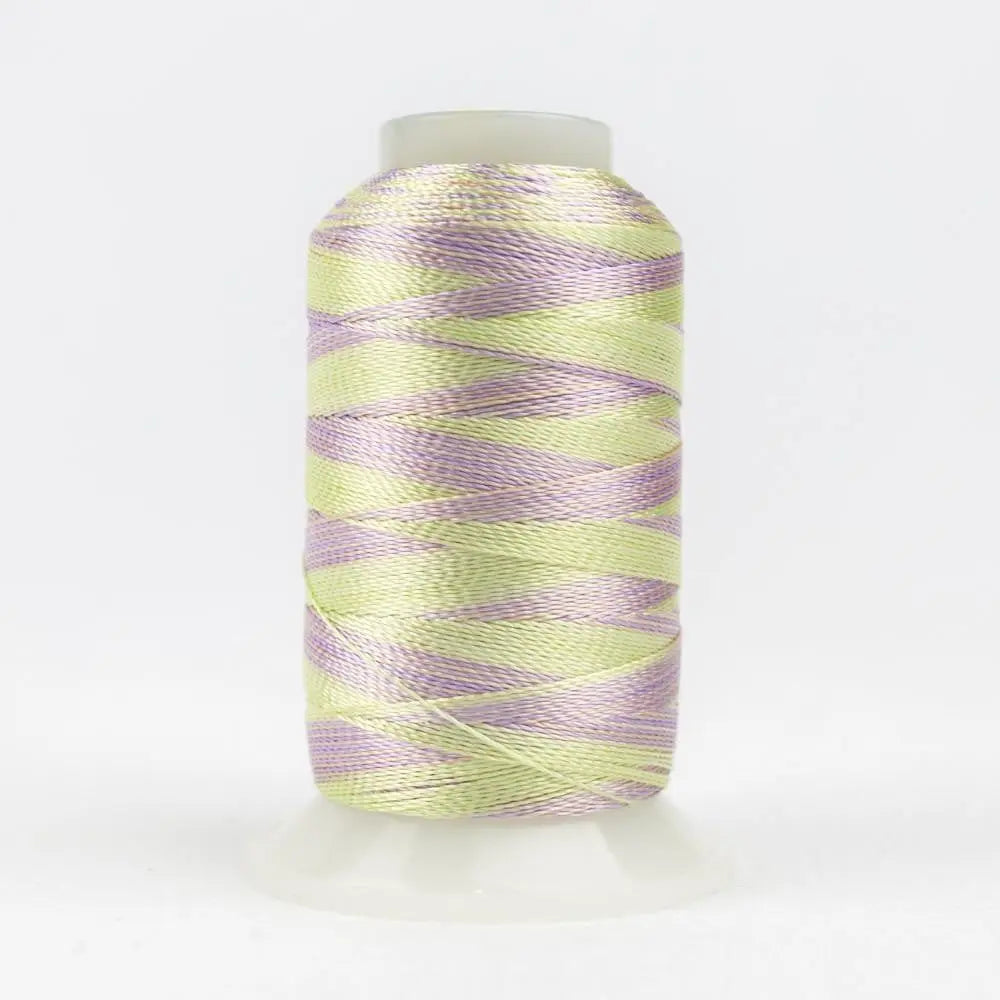 ACM20 - Accent™ 12wt Rayon Baby Thread WonderFil USA