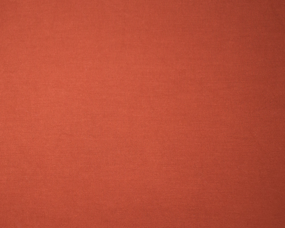 Orange Bamboo Solid Stretch Jersey Knit Fabric