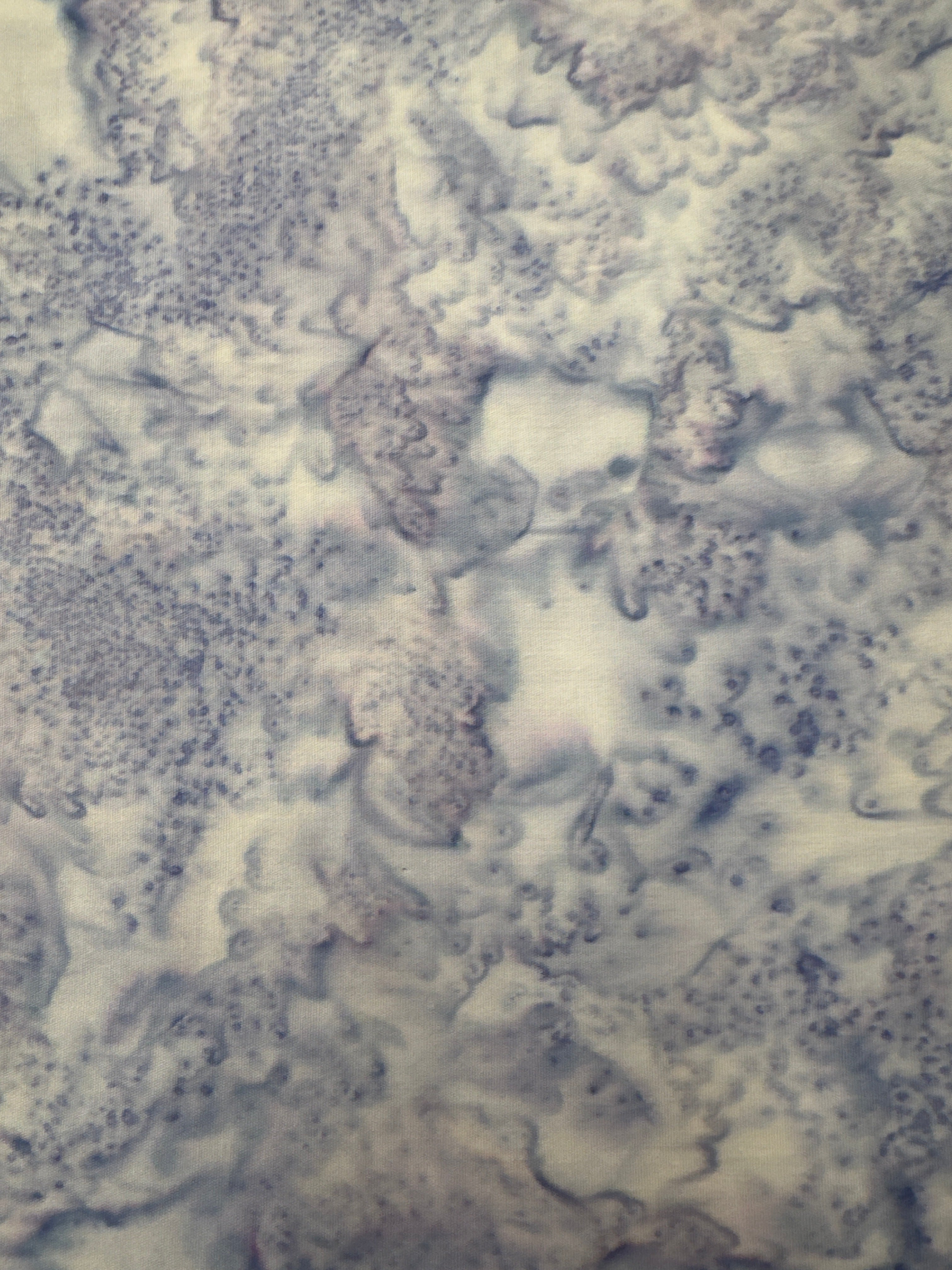 Watercolor Basics January blender quilting fabric by Hoffman Fabrics