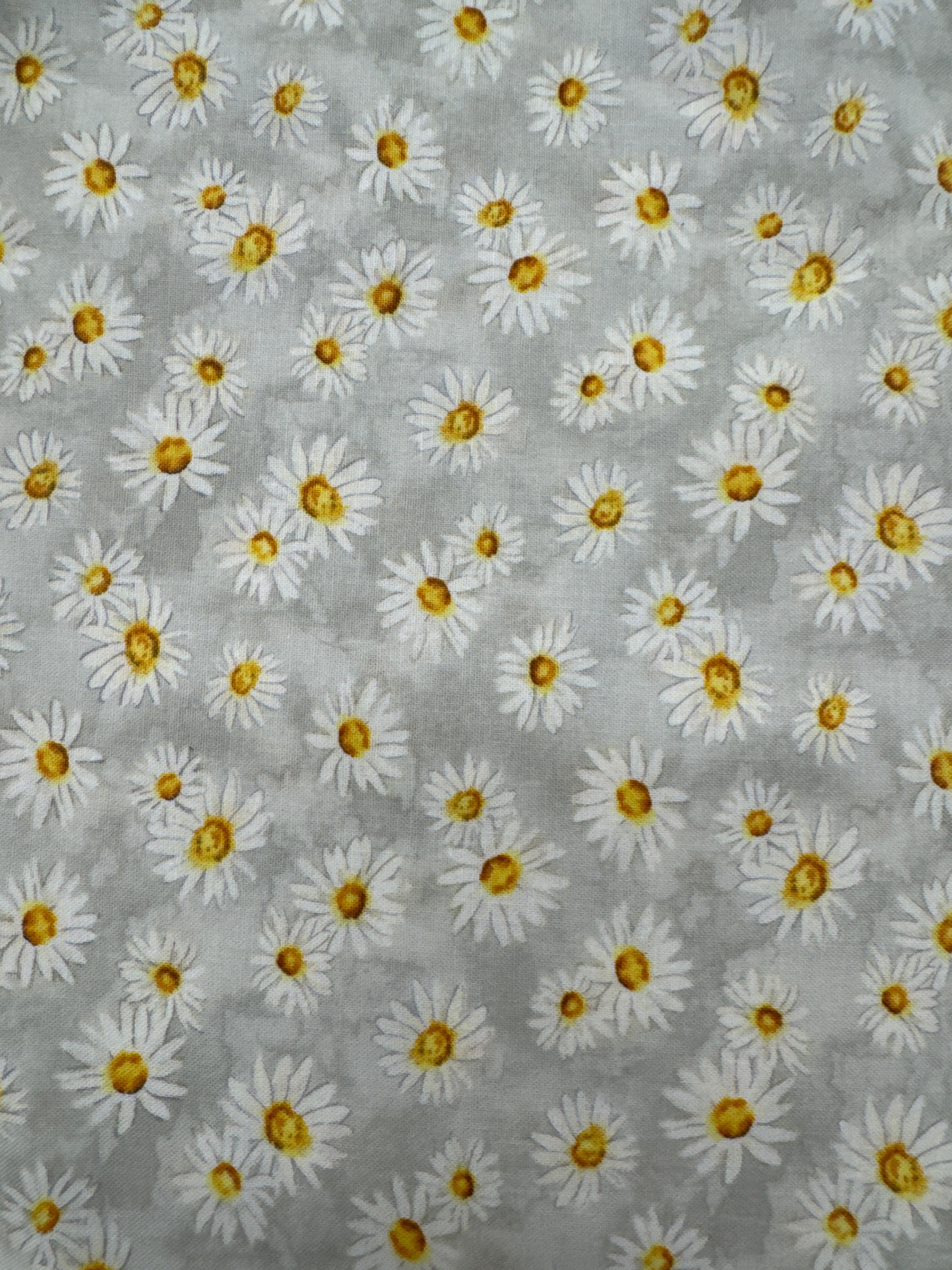 Zest For Life white Daisy floral quilting fabric by Wilmington Prints