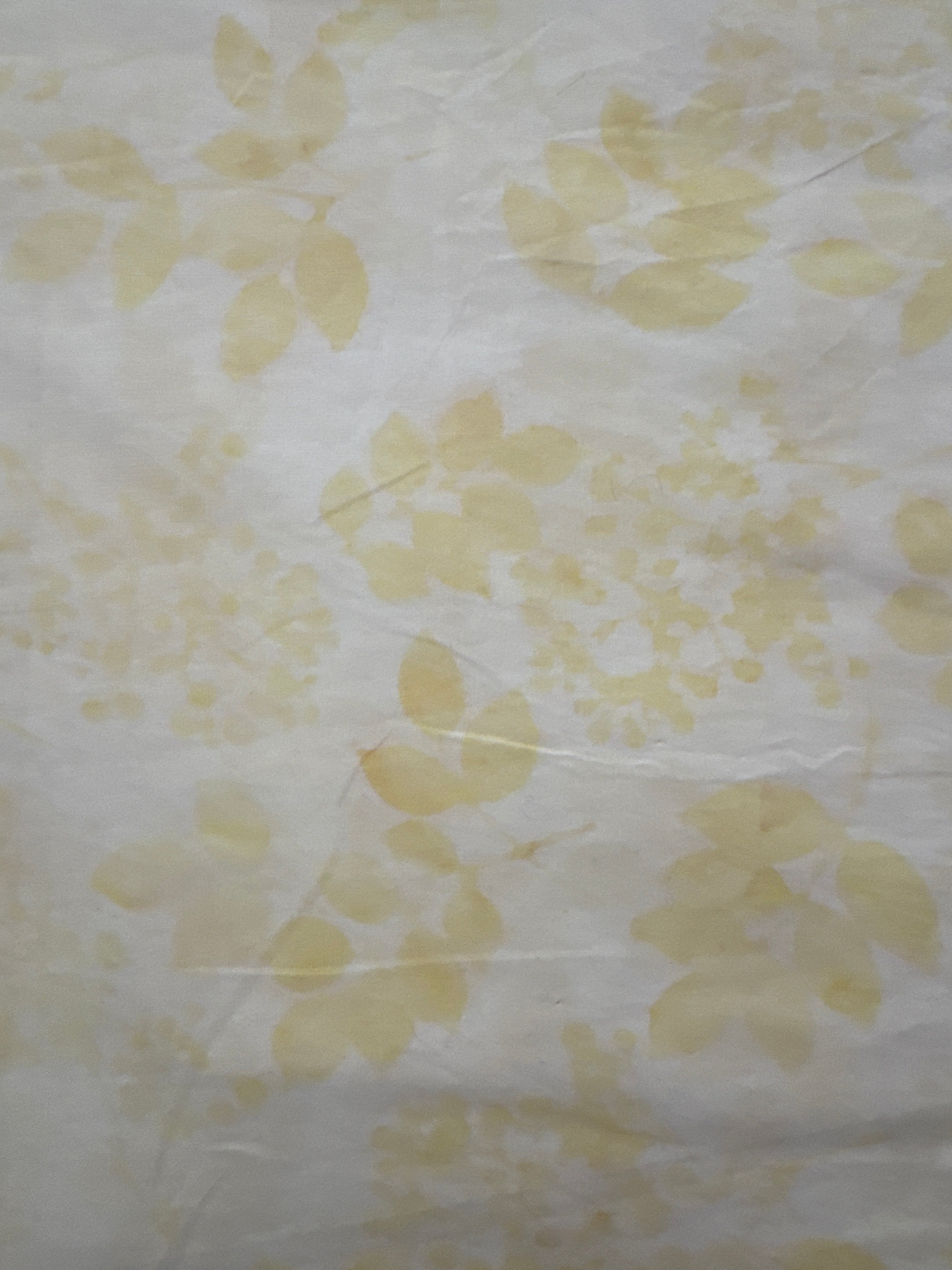 Gardenia Ivory white floral quilting fabric by Hoffman Fabrics