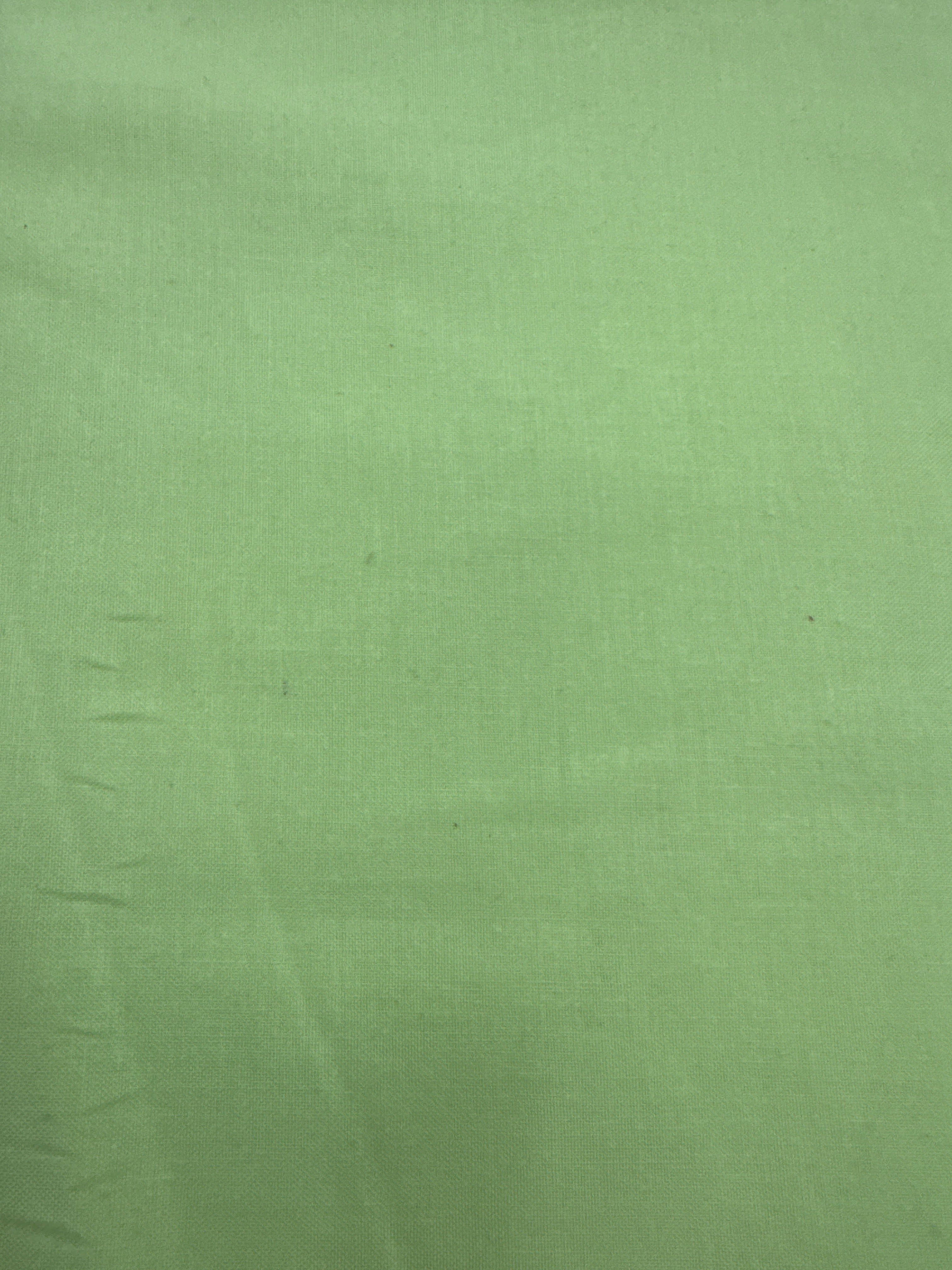 Designer Solid Citrus yellow quilting fabric by Free Spirit