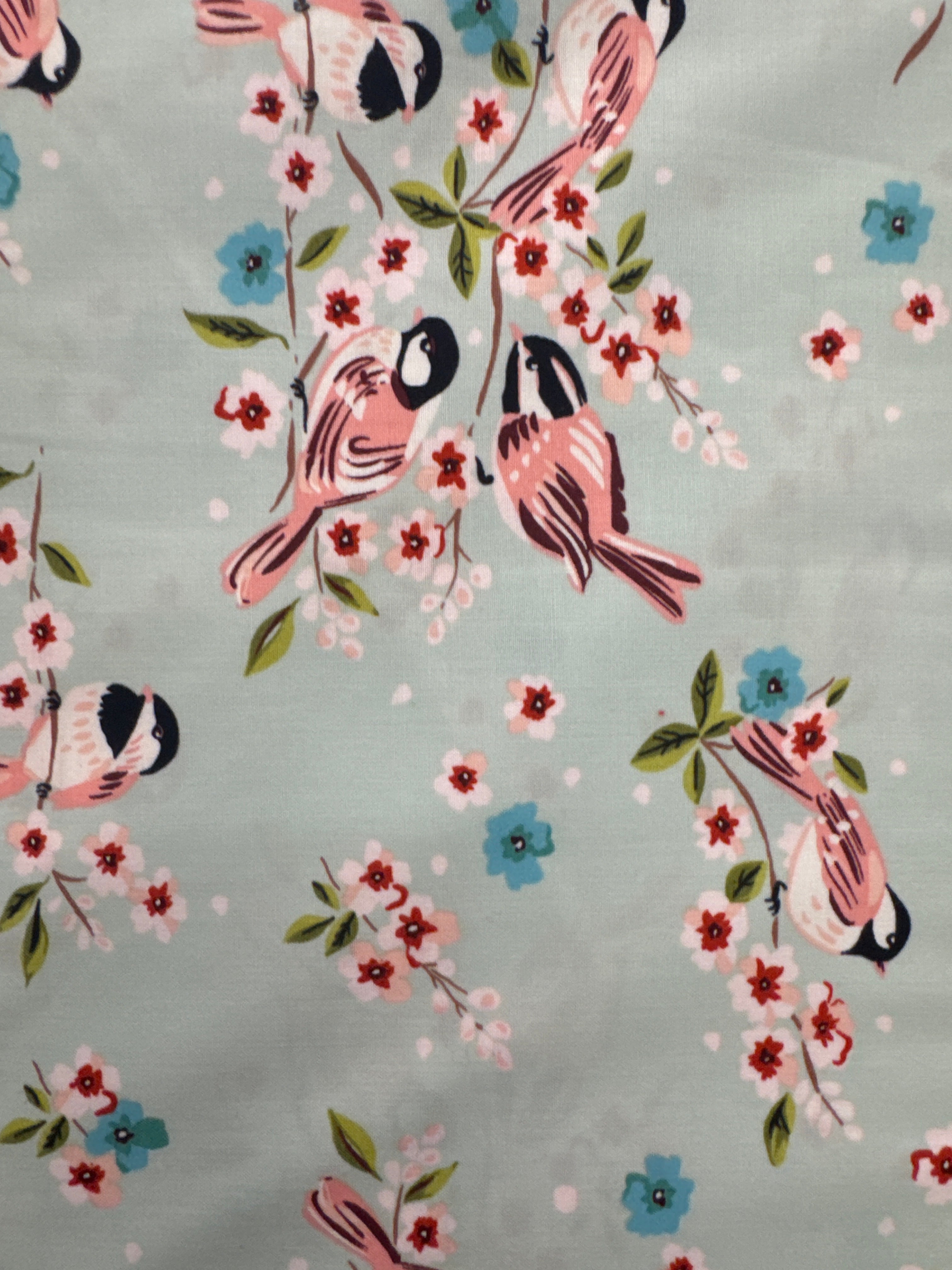 Songbirds on Mint nature novelty quilting fabric by Windham Fabrics