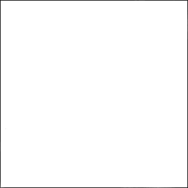 White Broadcloth Fabric - Reorderable
