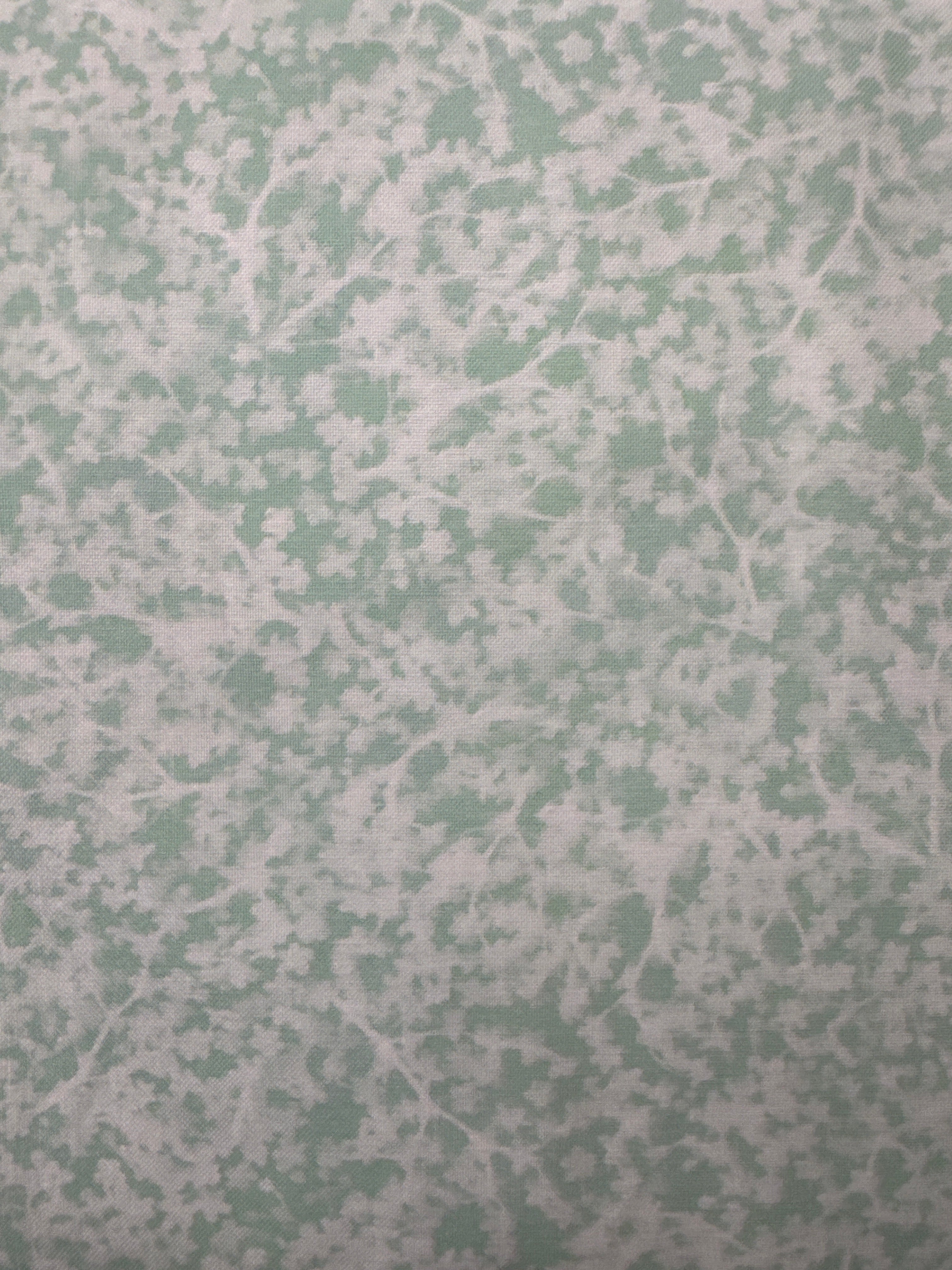 Bluebell White on Mint blender quilting fabric by Moda