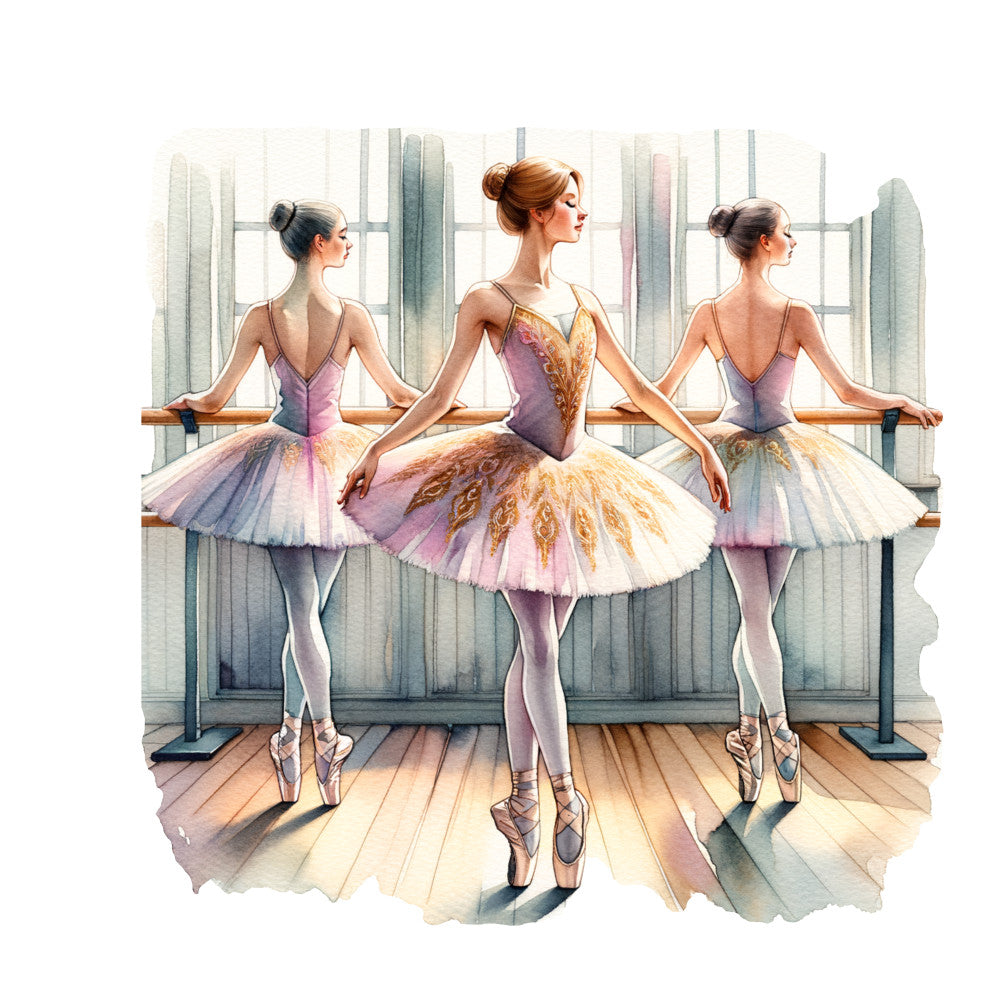 Ballet Studio Fabric Panel 7
