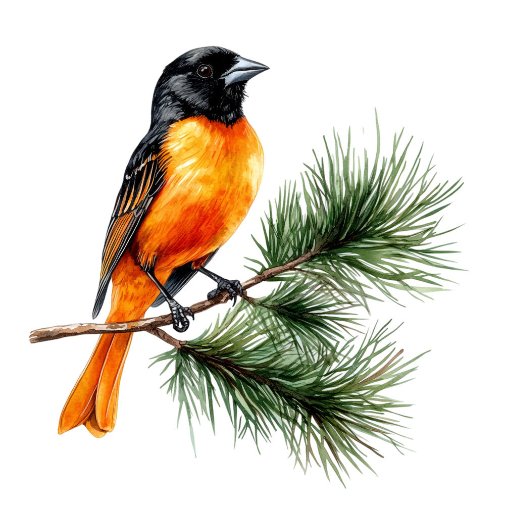Baltimore Oriole Fabric Panel 16