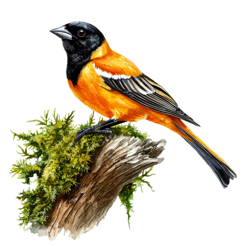 Baltimore Oriole Fabric Panel 2