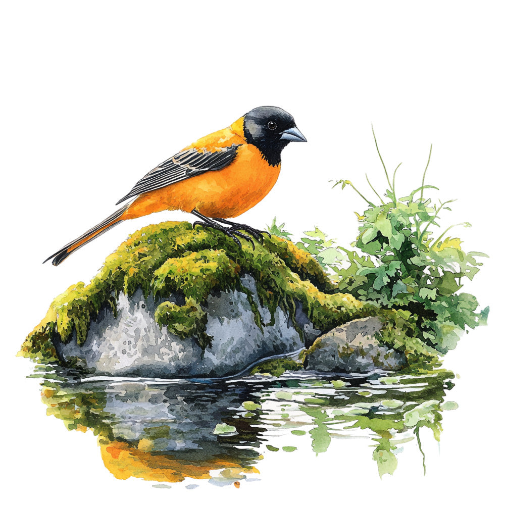 Baltimore Oriole Fabric Panel 3