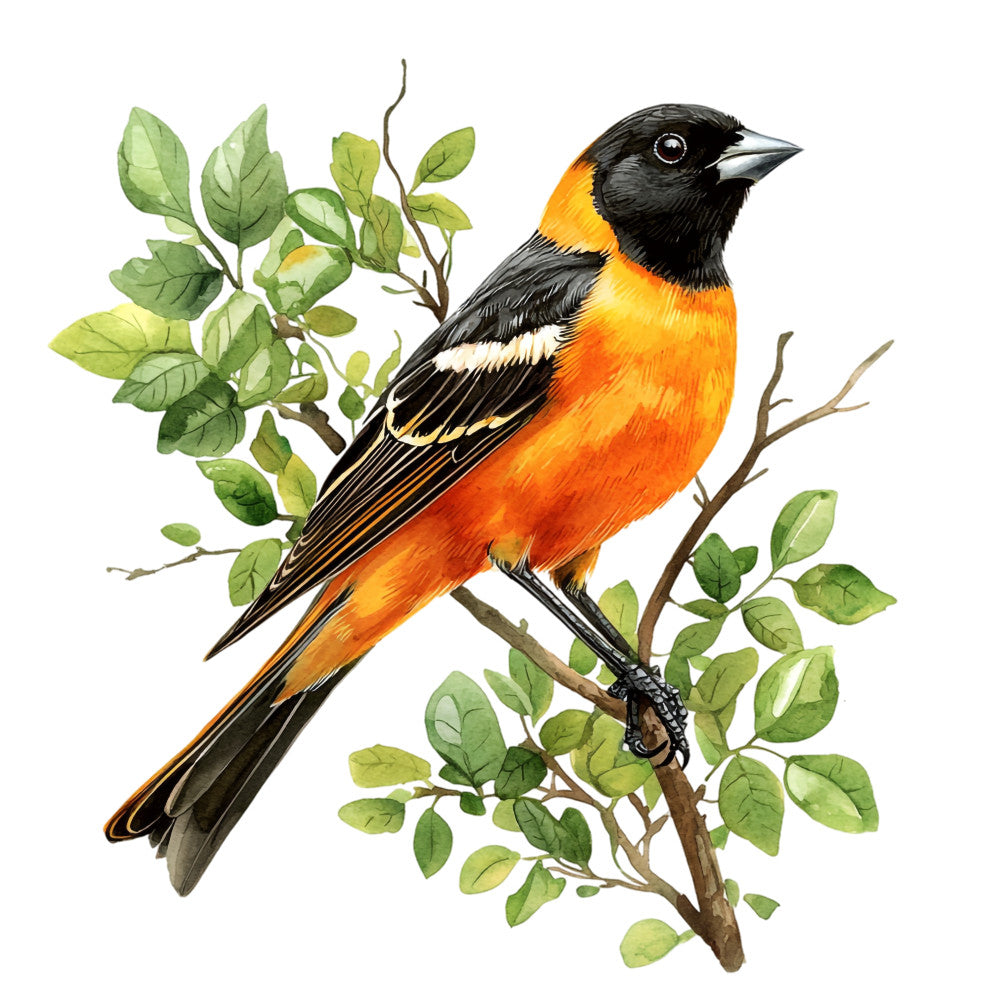 Baltimore Oriole Fabric Panel 6