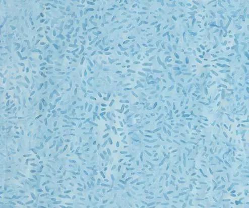 Banyan 81000-610 KETAN SUMMER SKY 45" Fabric Per Yard Fabric Fanatics