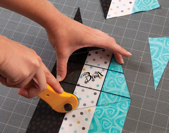 BasiX Template Cactus Queen Quilt Company