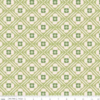 Bee Plaids Hugs Lettuce 108 inch wideback quilt backing fabric 3-yard package by Lori Holt for Riley Blake Designs