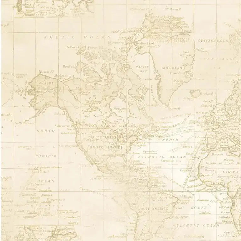 Beige Sea Navigation Cotton Wideback Fabric per yard - Linda's Electric Quilters