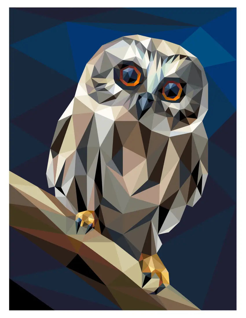 Big Hooter Quilt Kit Legit Kits