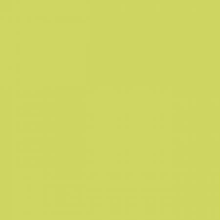 Riley Blake Confetti Cottons solid quilting cotton in Kiwi