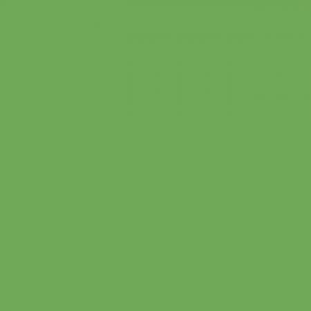 Riley Blake Confetti Cottons quilting cotton solid fabric in Riley Green