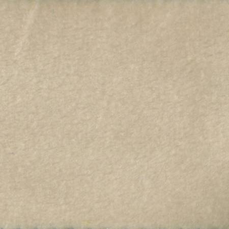 Shannon Fabrics Cuddle solid minky fabric in Beige