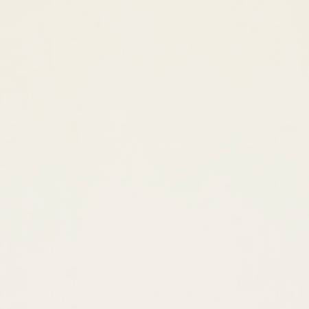 Shannon Fabrics Cuddle solid minky fabric in Ivory