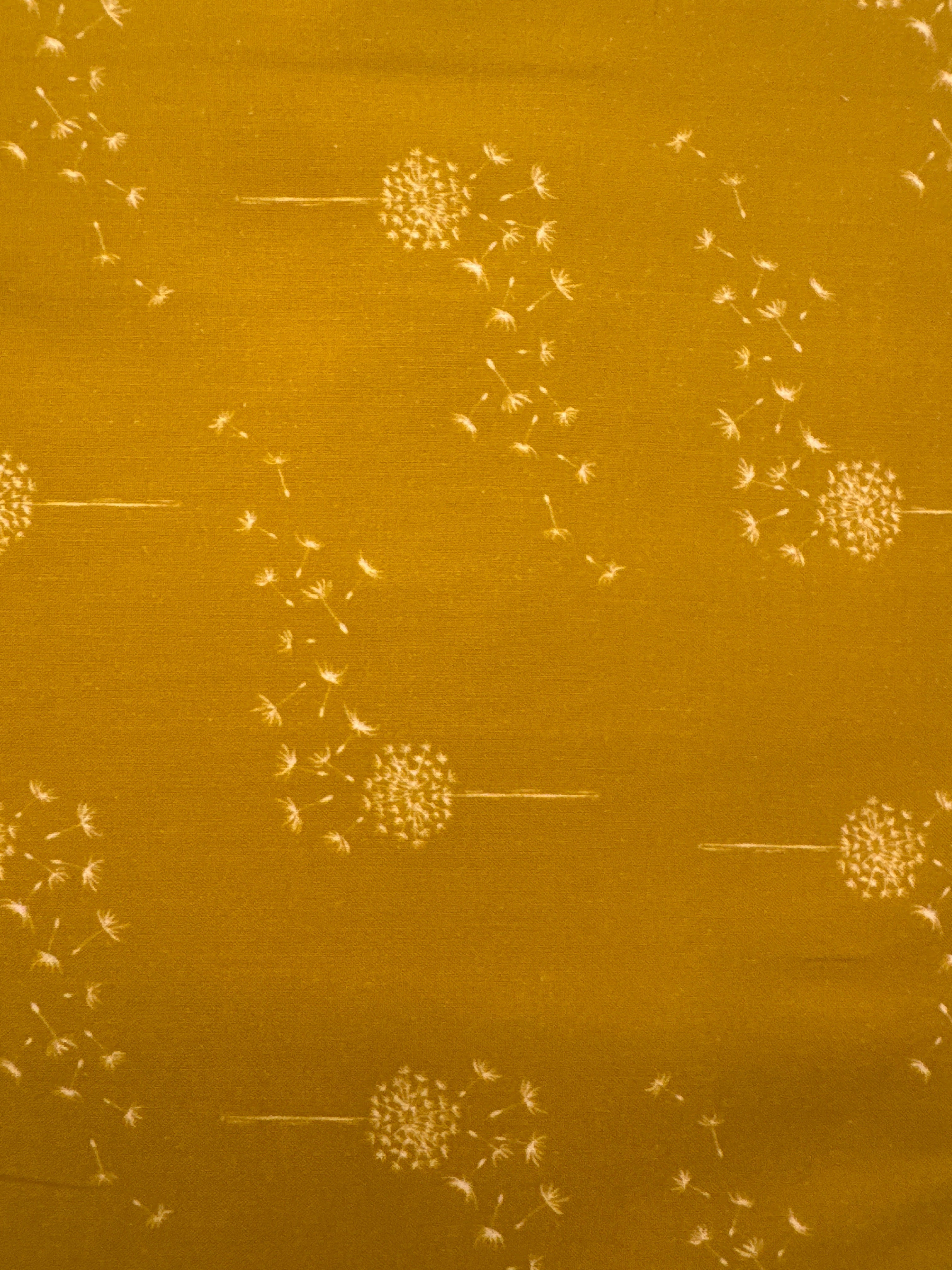 Dandelion Cheddar orange floral quilting fabric by Windham Fabrics