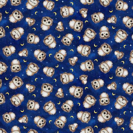 Timeless Treasures Owl Always Love You Owl And Moons quilting fabric in Night