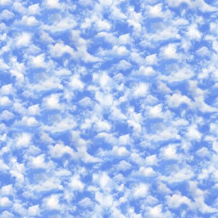 Timeless Treasures Blue Sky quilting fabric