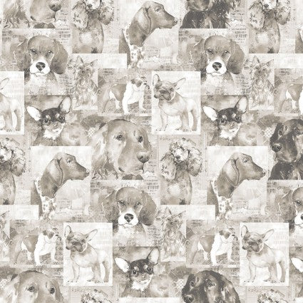 Clothworks Best Friends collage taupe quilting cotton
