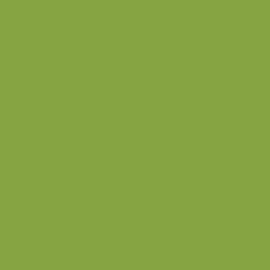 Tula Pink Designer Essentials solid quilting fabric in Matcha by FreeSpirit