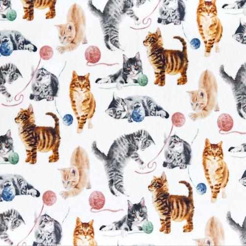Multi Cat Nip Digital Cuddle 58/60" Fabric Per Yard