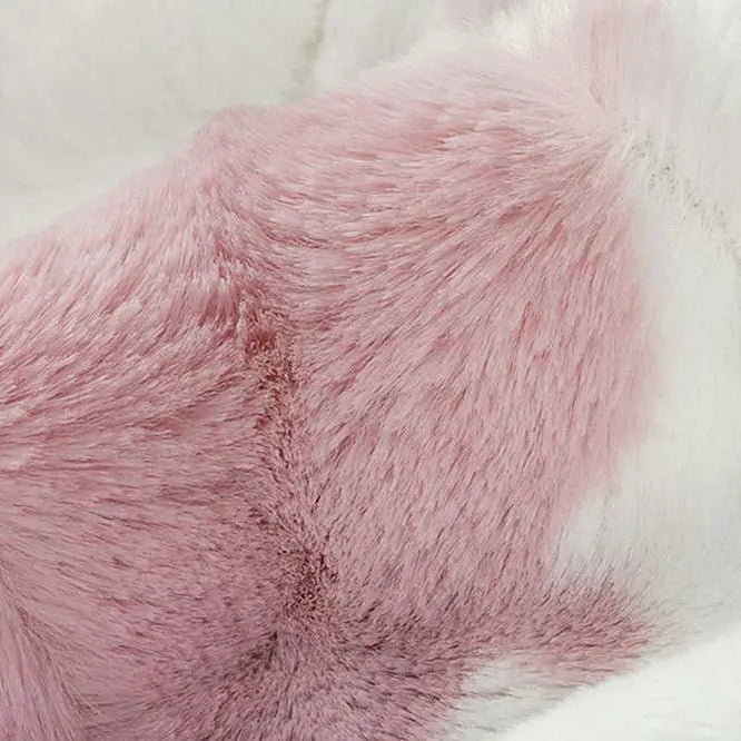 LCCALF CLARAROSE LINDA'S