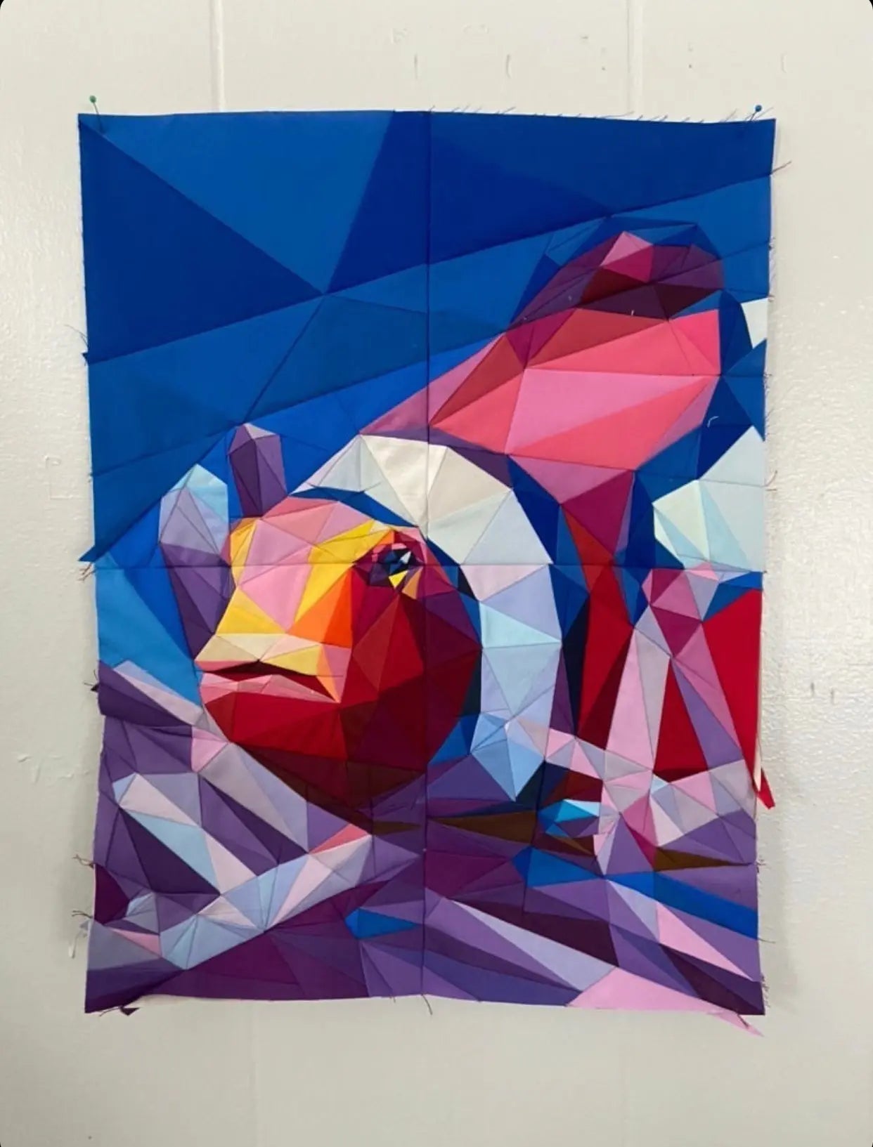 Clownfish Pattern Legit Kits