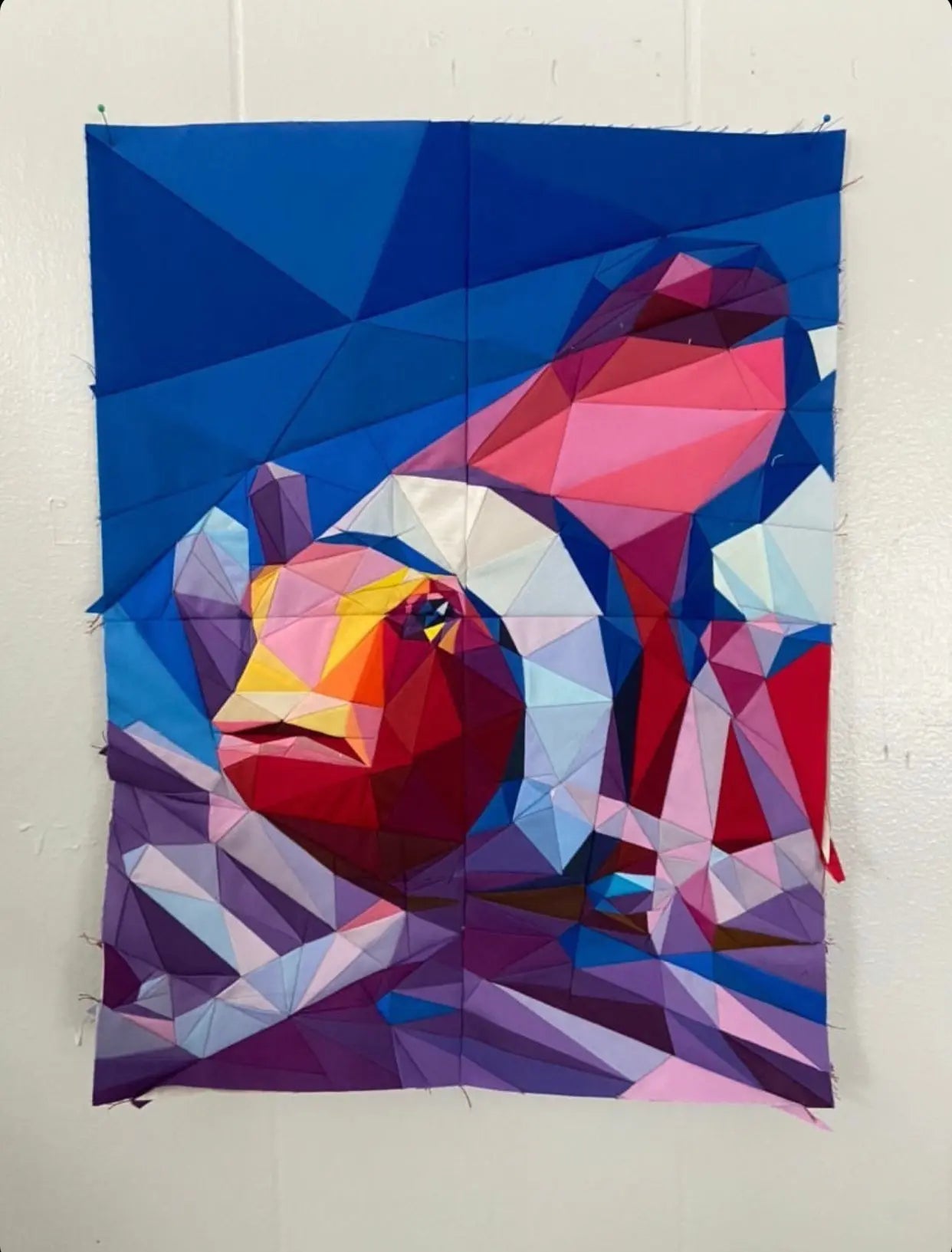 Clownfish Quilt Kit - Linda's Electric Quilters