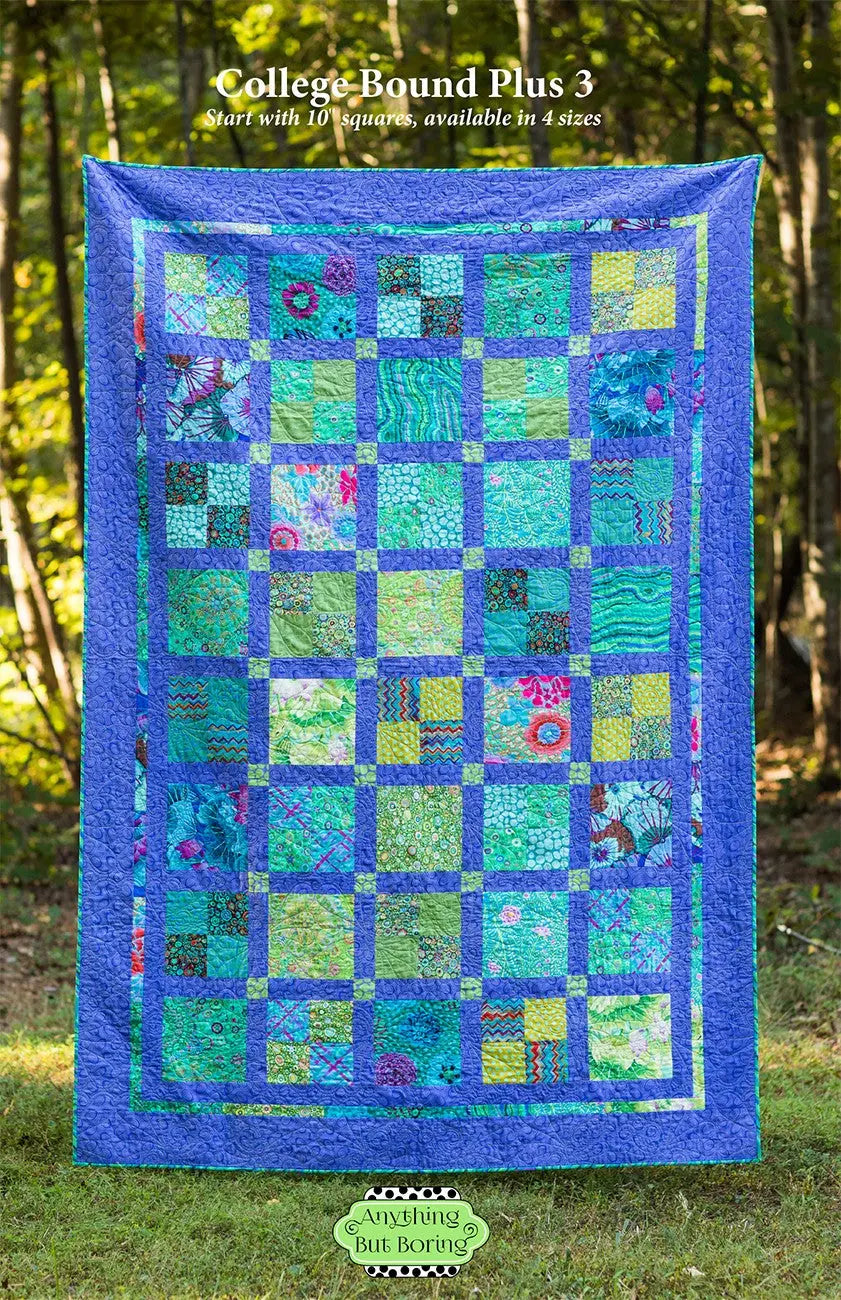 College Bound Plus 3 - Linda's Electric Quilters