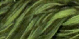 Cotton Quilting Thread Variegated 3000yd Olive Hues - Linda's Electric Quilters