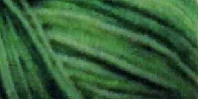 Cotton Quilting Thread Variegated 3000yd Spring Grass - Linda's Electric Quilters