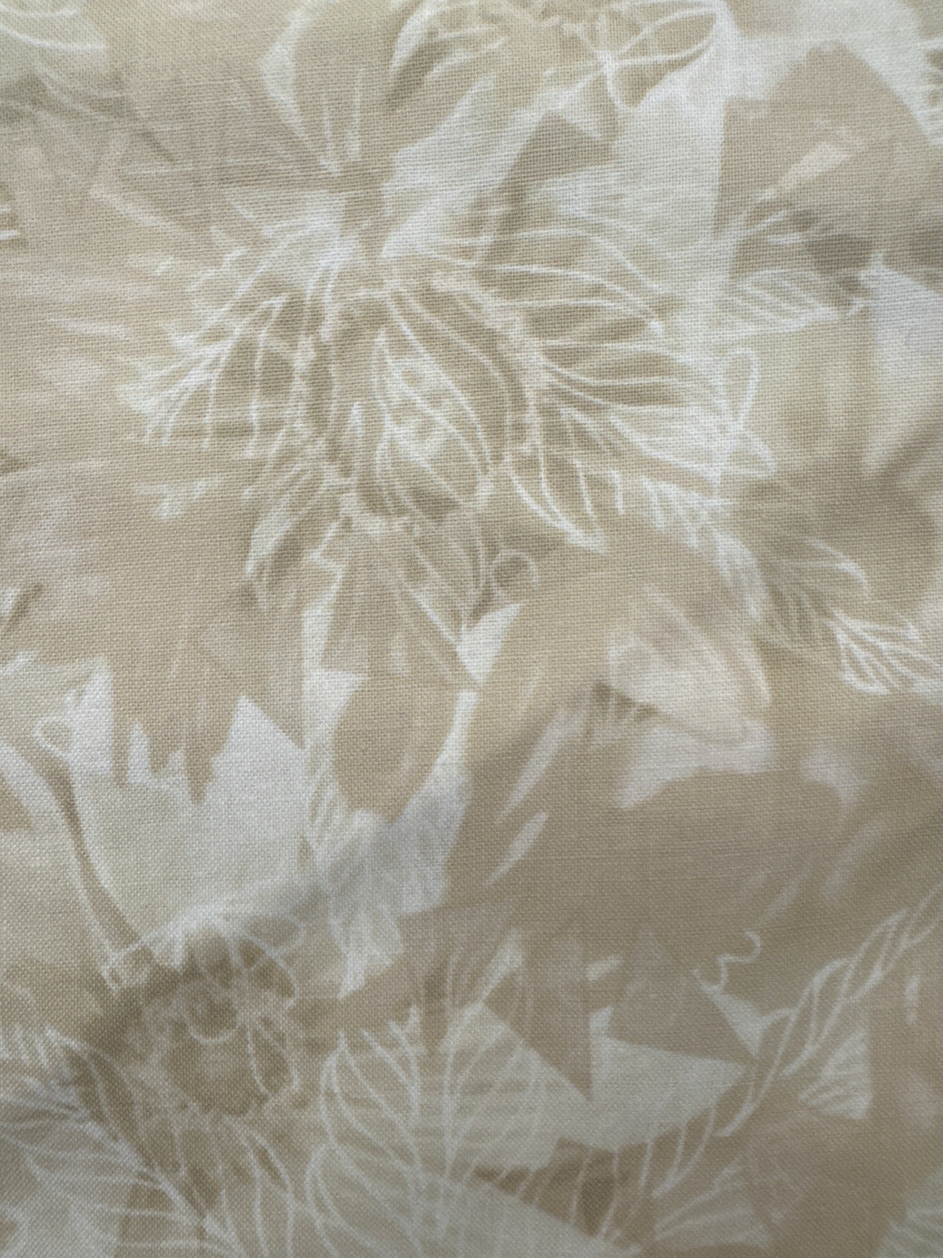 Beige Sunflowers floral quilting fabric by Timeless Treasures