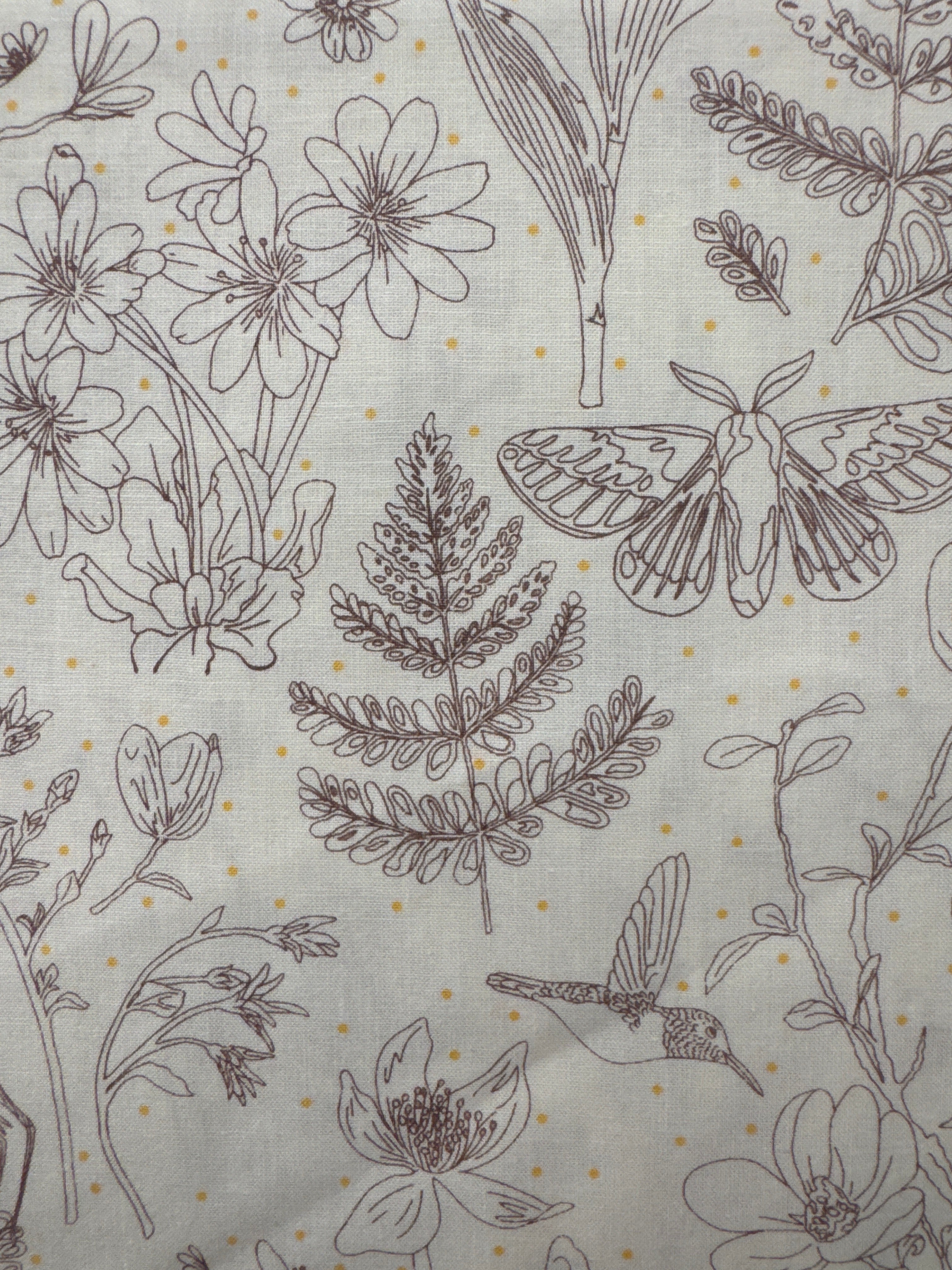 Insects and Flora Cream novelty quilting fabric by Windham Fabrics