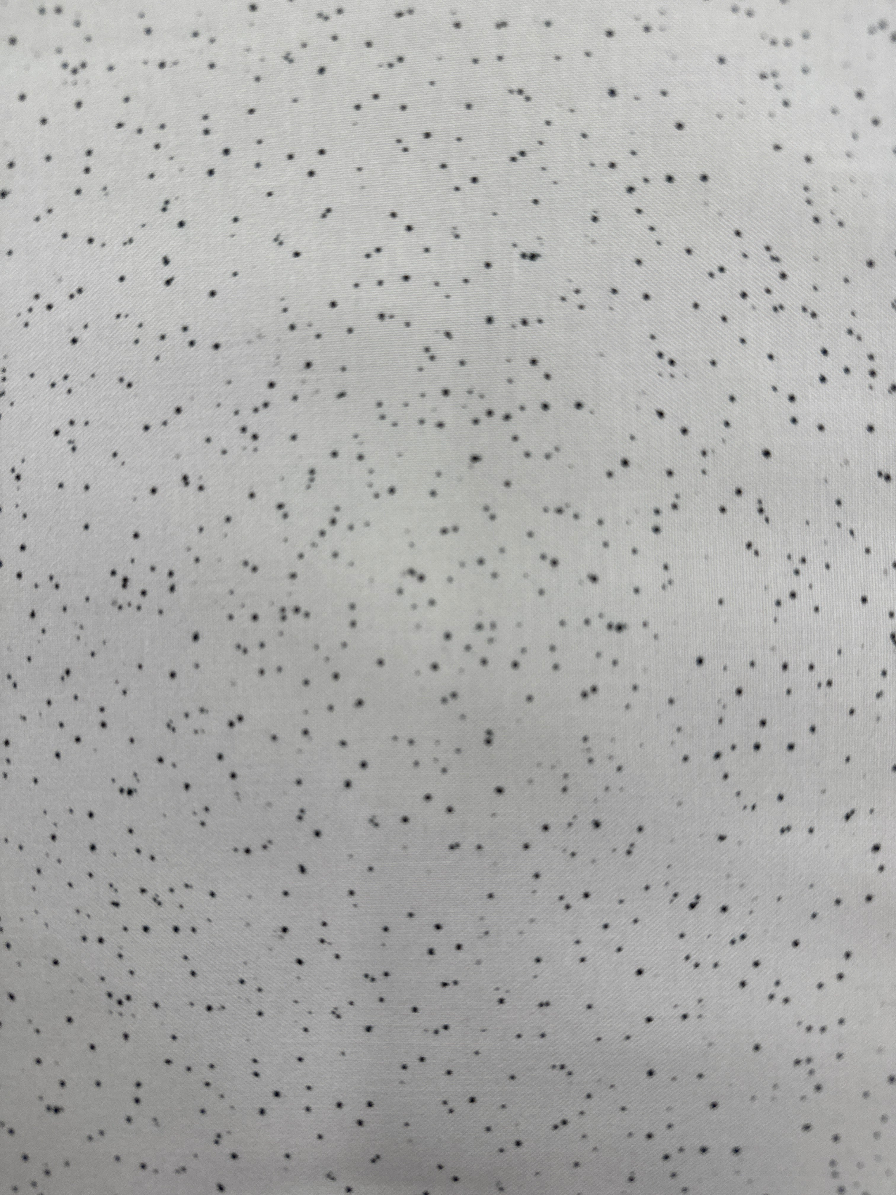 Whiskers and Paws Splatter Grey blender quilting fabric by Maywood
