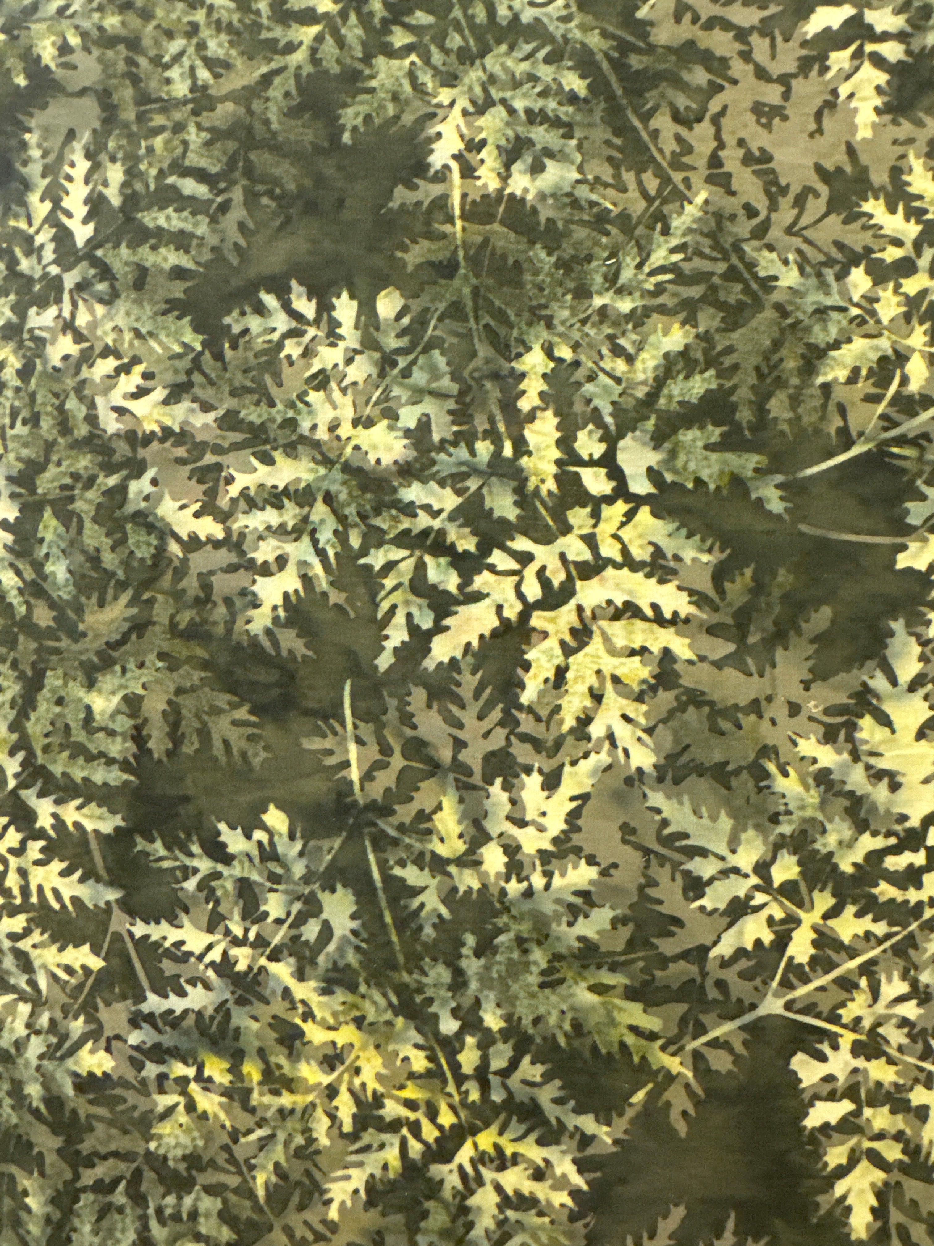 Hoffman Leaves Fern quilting fabric