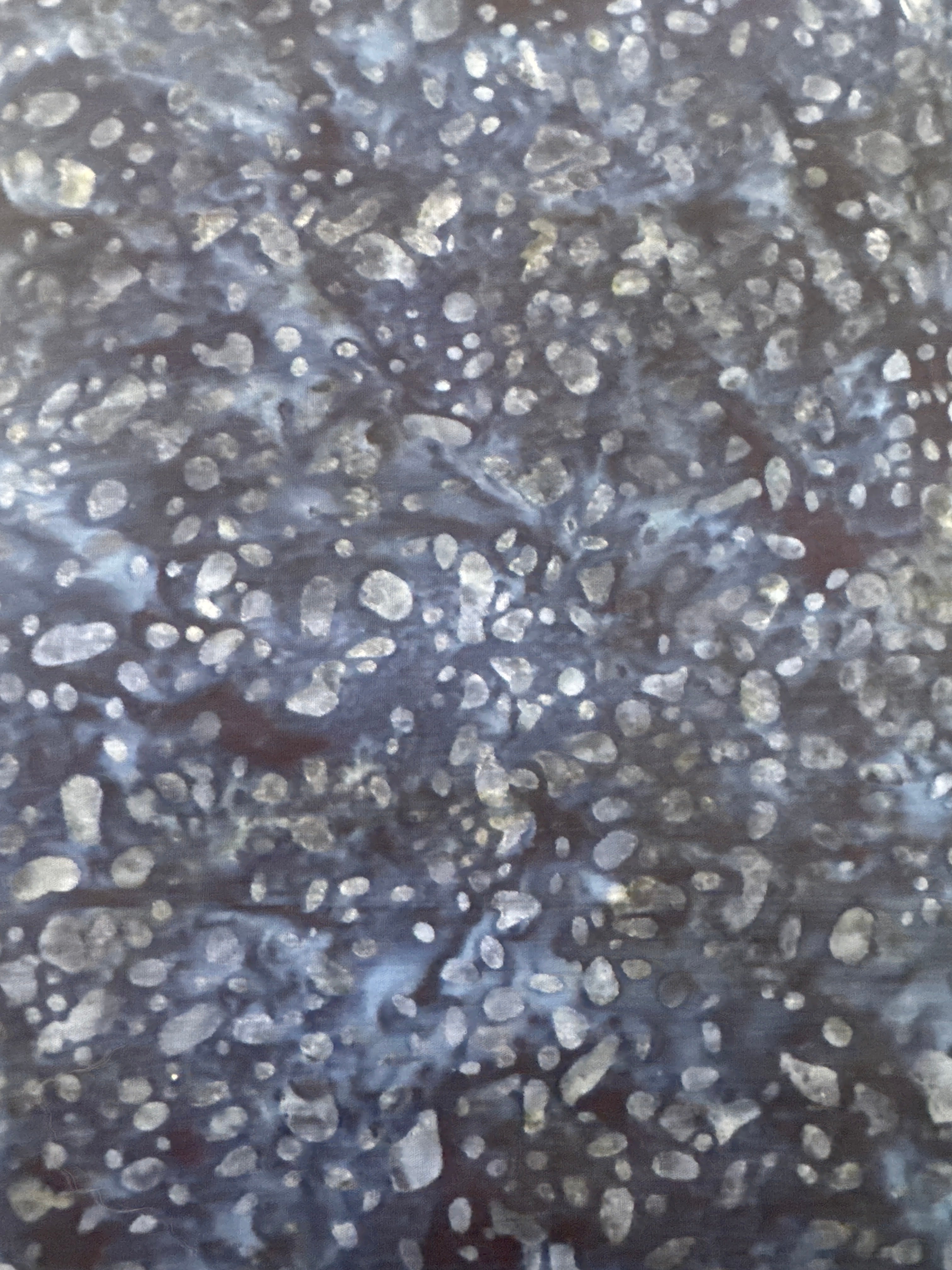 Elementals Terrazzo Indigo Dye blender quilting fabric by Riley Blake Designs
