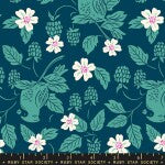 Ruby Star Backyard Cardinal Galaxy quilting fabric by Moda