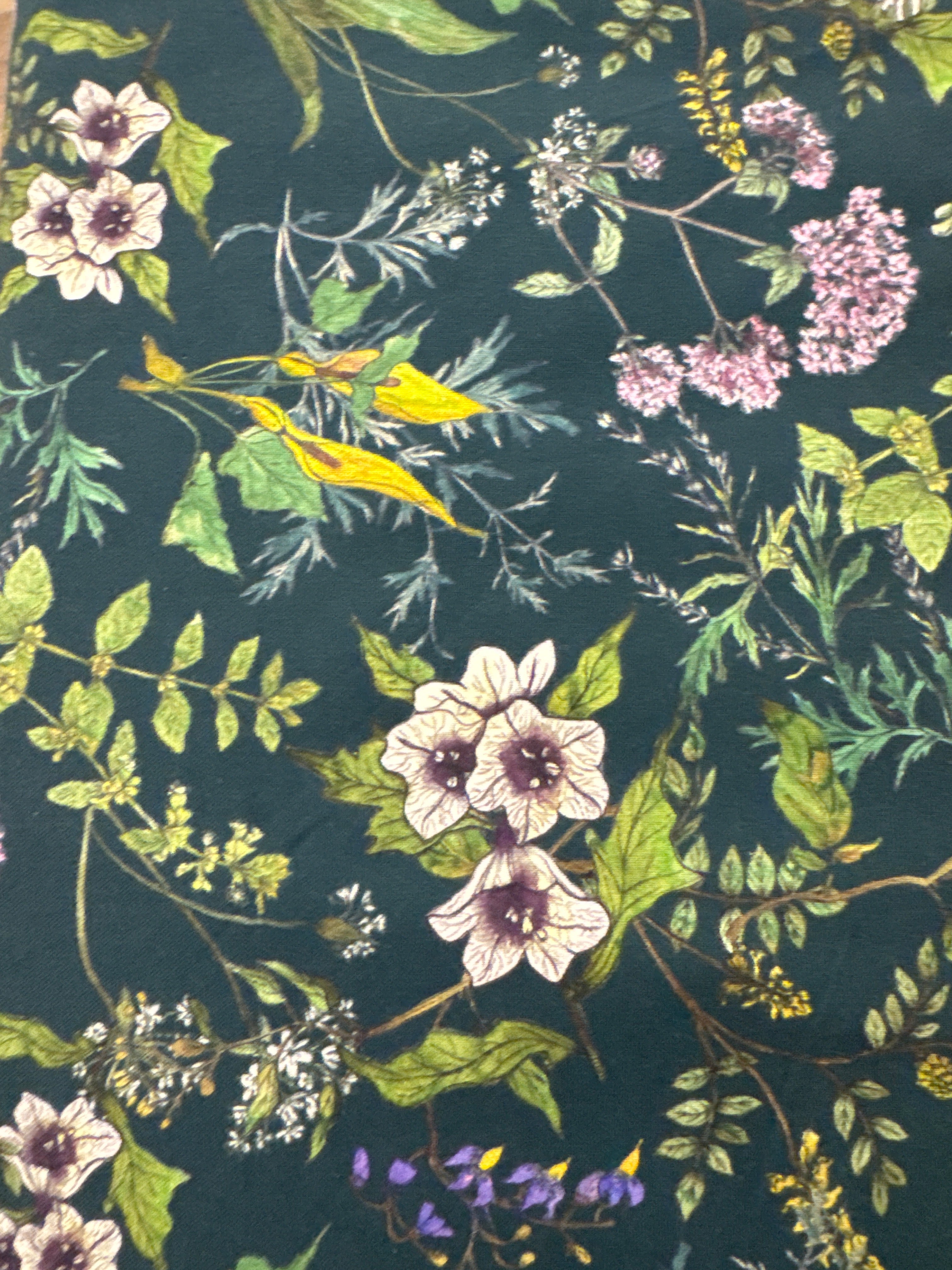 Secret Garden Dark Emerald Green blender quilting fabric by Windham Fabrics