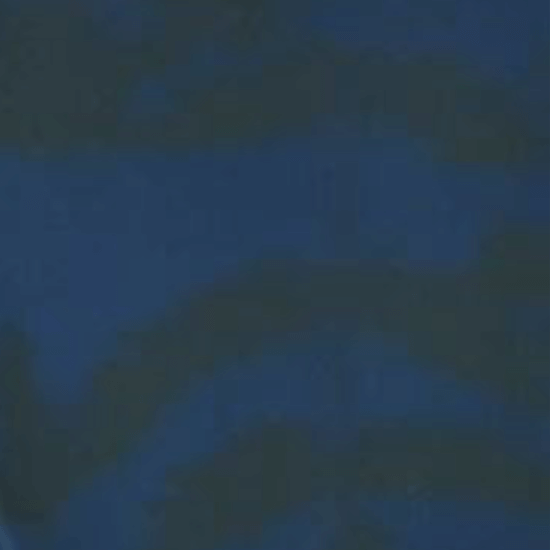 Every Day Prints - Leaf Garden - Black/Navy 44" / 45" Fabric Per Yard