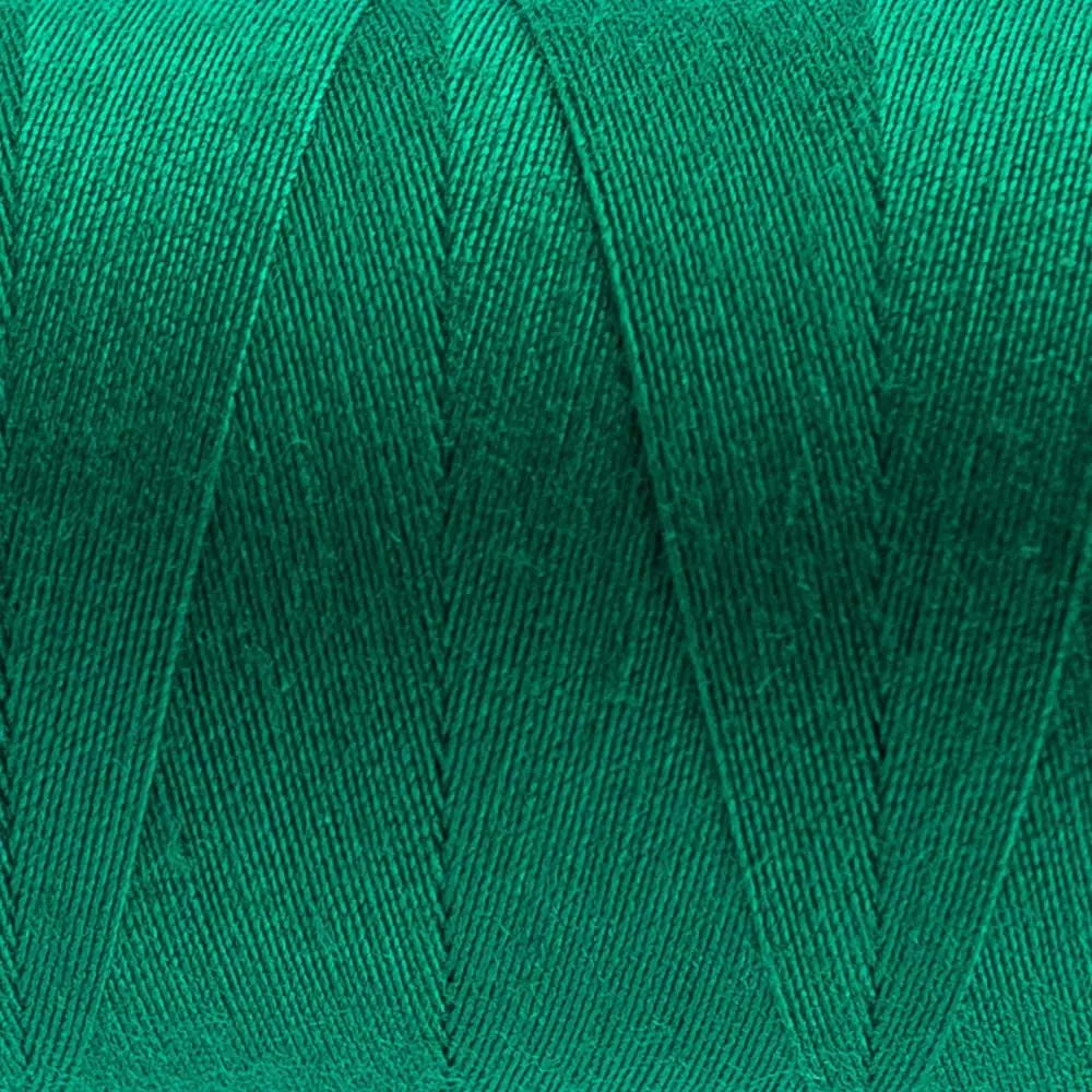 DS147 - Designer™ All purpose 40wt Polyester Elf Green Thread WonderFil USA